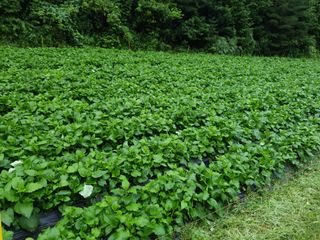 장관덕님의 작성글 사진
