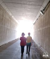 팜모닝 자유주제·자유게시판 게시글 이미지