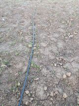 팜모닝 시금치·병해충상담 게시글 이미지