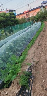 팜모닝 기타작물·영농일지 게시글 이미지