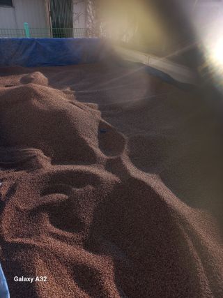 자기왕사랑해님의 작성글 사진