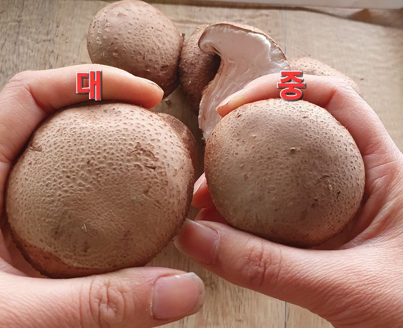 장계령님의 장터 판매 상품 [표고버섯 1KG] 첨부 사진