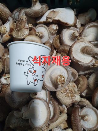 장계령님의 작성글 사진