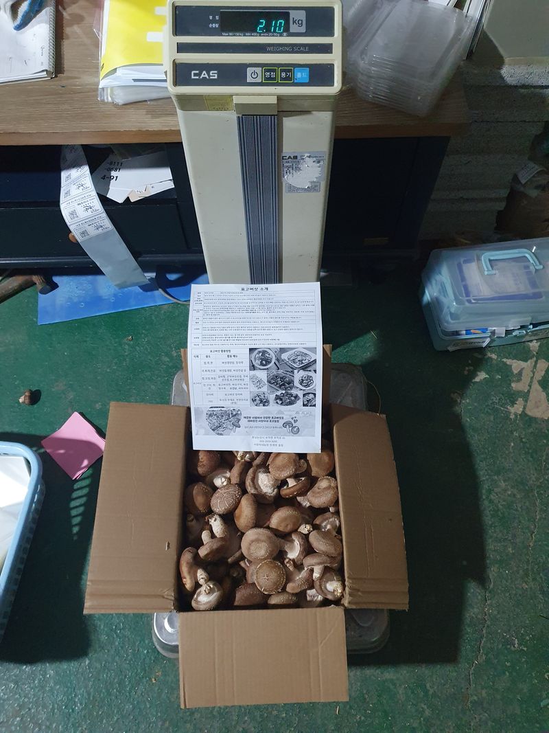 장계령님의 장터 판매 상품 [무농약 표고버섯 가정용(못난이)2KG] 첨부 사진