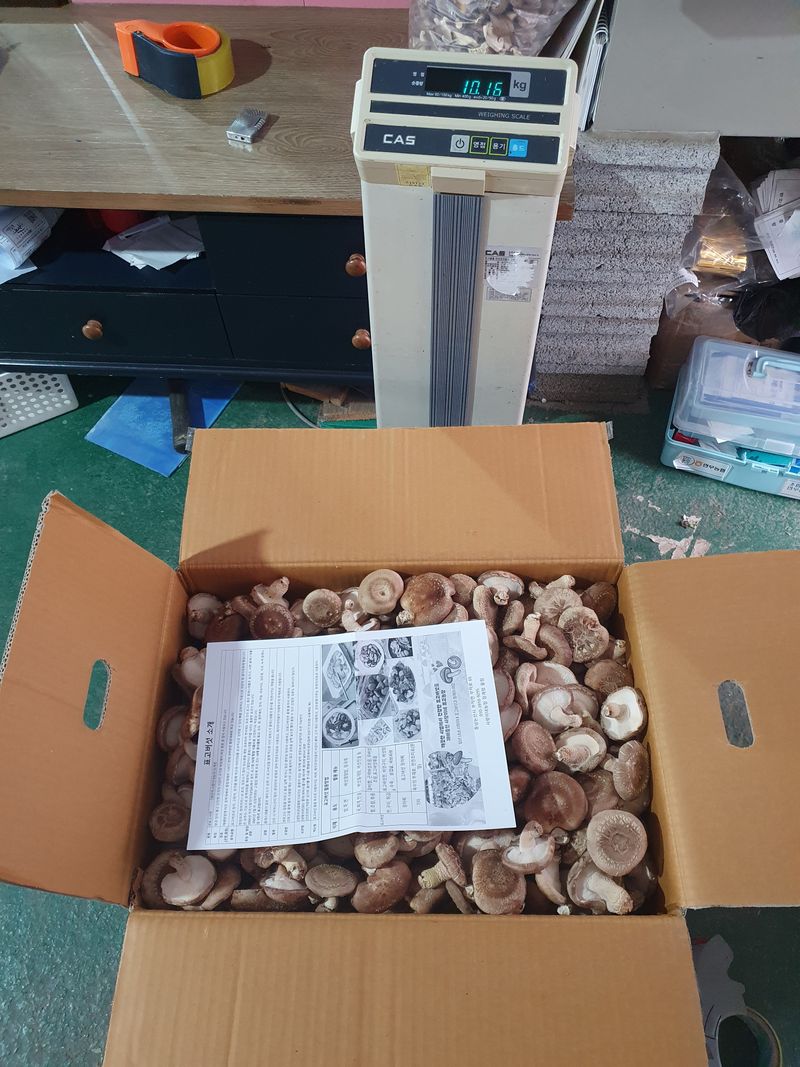 장계령님의 장터 판매 상품 [표고버섯 1KG] 첨부 사진