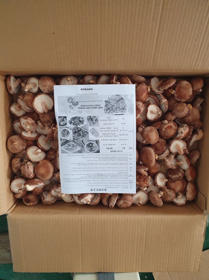 장계령님의 장터 판매 상품 [무농약 표고버섯 가정용(못난이)2KG] 첨부 사진