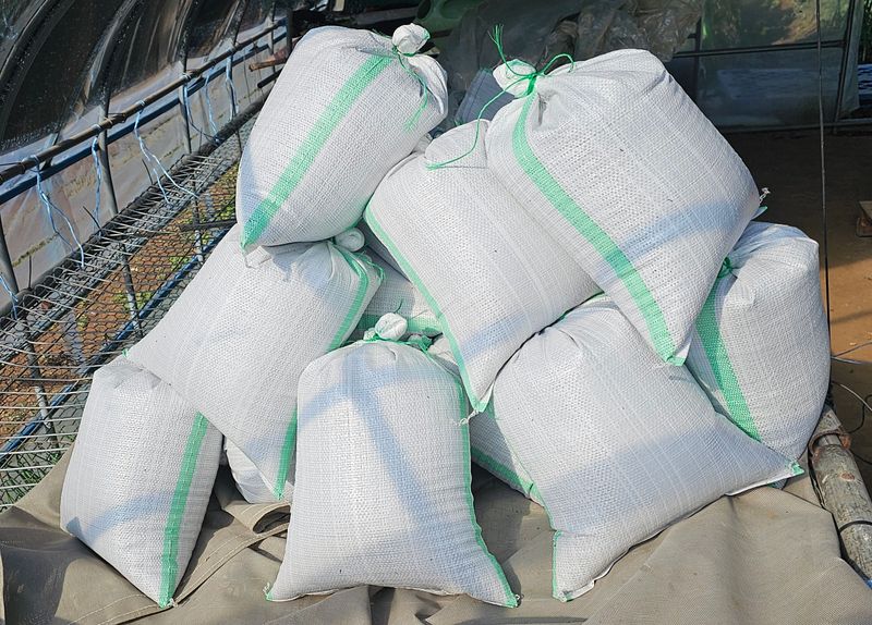 황규복(달구지)님의 장터 판매 상품 [들깨 5.5키로 8만원] 첨부 사진