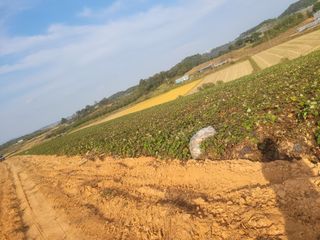이원우님의 자유주제 · 자유게시판 작성글 사진