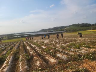 이원우님의 자유주제 · 자유게시판 작성글 사진