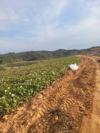이원우님의 자유주제 · 자유게시판 작성글 사진