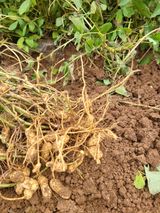 팜모닝 자유주제·자유게시판 게시글 이미지