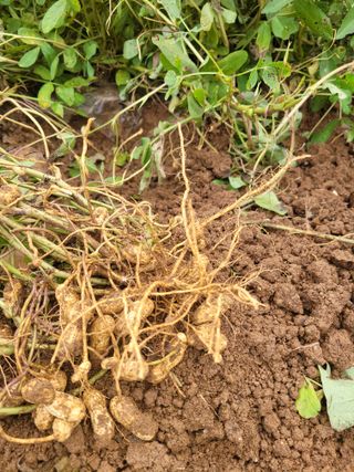 이원우님의 자유주제 · 자유게시판 작성글 사진