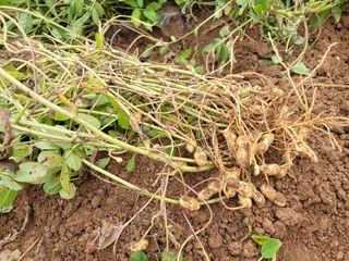 이원우님의 자유주제 · 자유게시판 작성글 사진