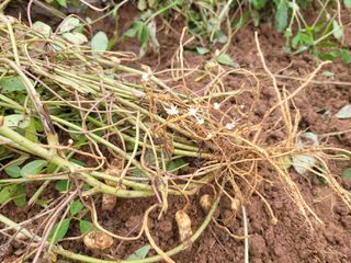 이원우님의 자유주제 · 자유게시판 작성글 사진