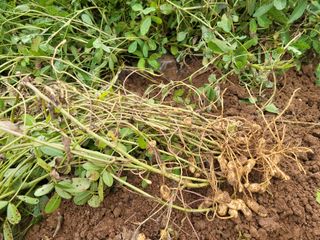 이원우님의 자유주제 · 자유게시판 작성글 사진