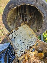 팜모닝 자유주제·자유게시판 게시글 이미지