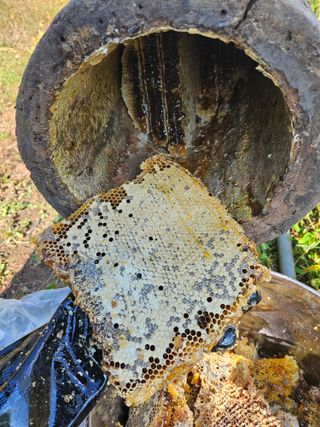 보리맘님의 자유주제 · 자유게시판 작성글 사진