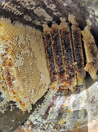 보리맘님의 자유주제 · 자유게시판 작성글 사진