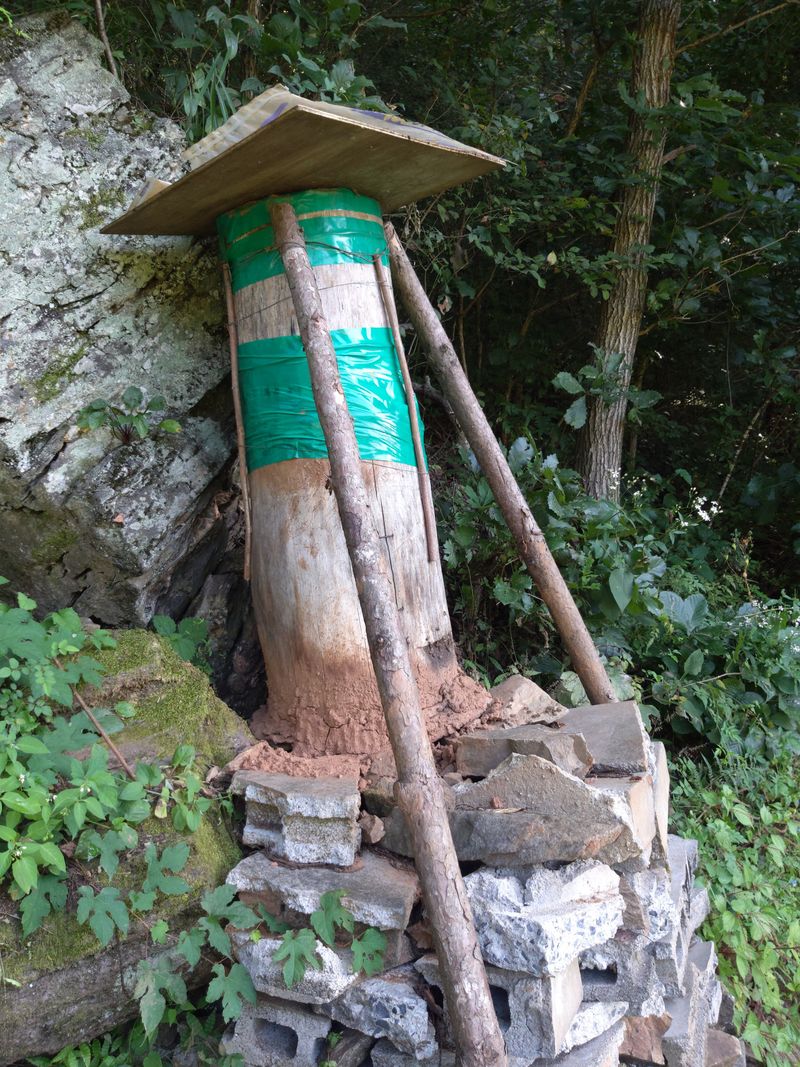 귤9198님의 장터 판매 상품 [토종꿀2.4kg] 첨부 사진