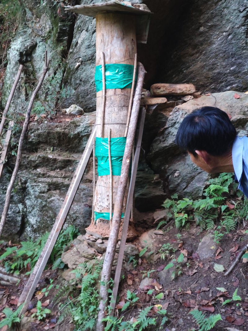 귤9198님의 장터 판매 상품 [토종꿀2.4kg] 첨부 사진