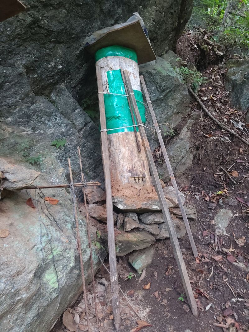 귤9198님의 장터 판매 상품 [토종꿀2.4kg] 첨부 사진