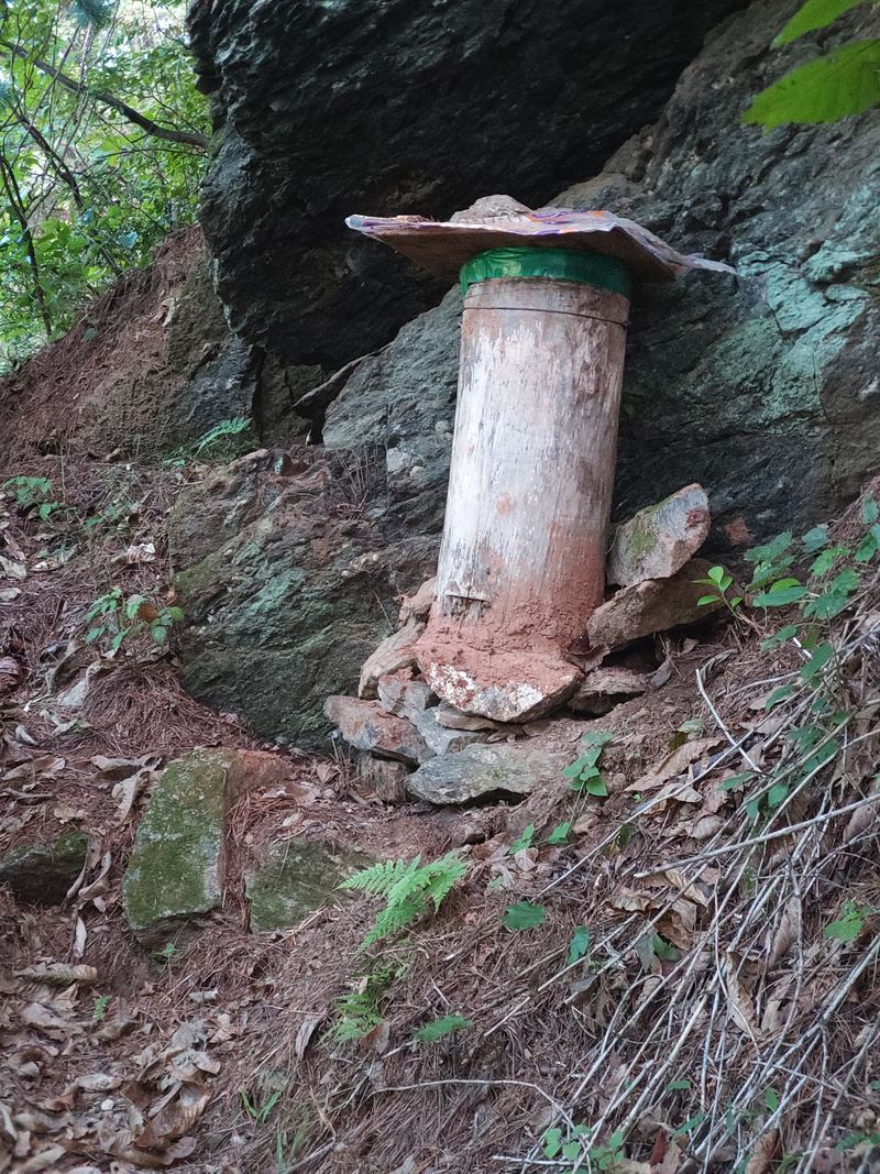 귤9198님의 장터 판매 상품 [토종꿀2.4kg] 첨부 사진