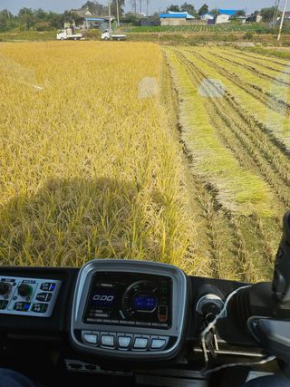 푸른농장주가오리님의 벼 · 영농일지 작성글 사진