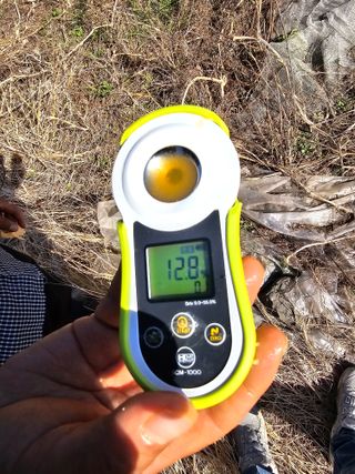 김재열님의 귤 · 수확 작성글 사진