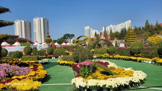 제주농부님의 들깨 · 자유게시판 작성글 사진