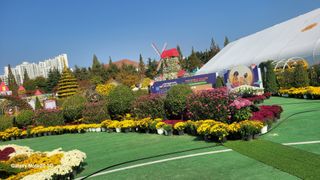 제주농부님의 들깨 · 자유게시판 작성글 사진