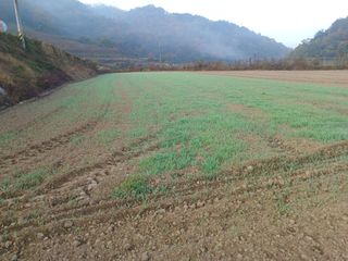 오영도님의 자유주제 · 자유게시판 작성글 사진