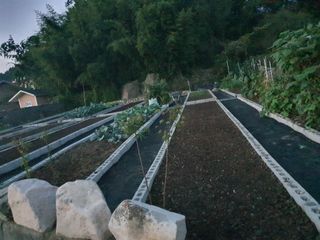 남천나무7076님의 [팜춘문예] 짧은 시 쓰기 · 참여글 작성글 사진