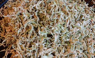 달맛햇복숭아농원님의 자유주제 · 자유게시판 작성글 사진