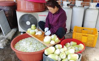 달맛햇복숭아농원님의 자유주제 · 자유게시판 작성글 사진