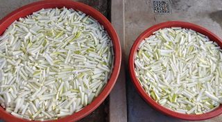 달맛햇복숭아농원님의 자유주제 · 자유게시판 작성글 사진