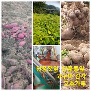 신동익님의 작성글 사진