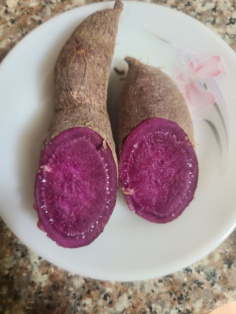 신동익님의 장터 판매 상품 [자색고구마 ] 첨부 사진