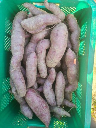 신동익님의 작성글 사진