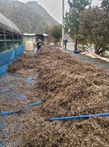 팜모닝 기타작물·영농일지 게시글 이미지