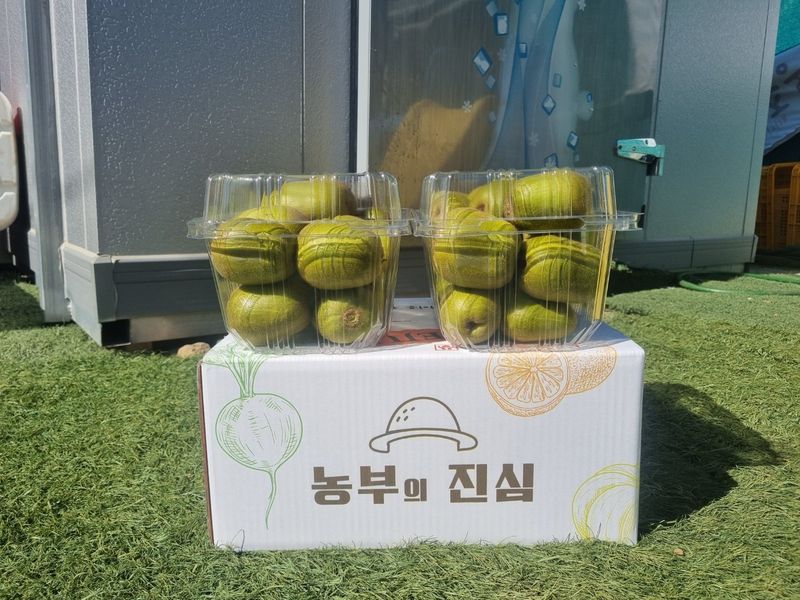 이승철님의 장터 판매 상품 [제주레드키위2.5kg] 첨부 사진