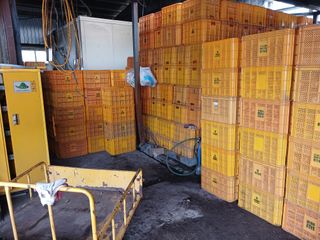 알 수 없음님의 우리동네 · 동네수다 작성글 사진