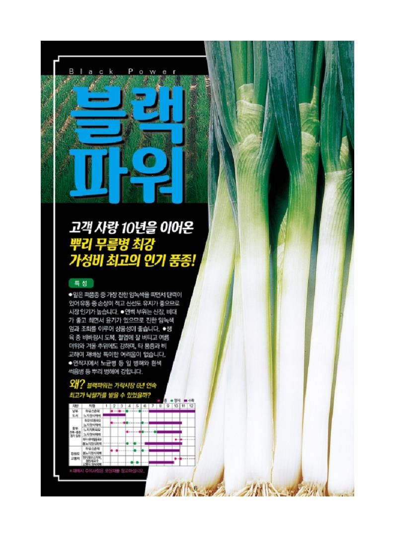 안산제일농약사님의 장터 판매 상품 [블래파워대파씨앗 400g] 첨부 사진