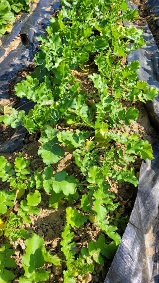 장선영님의 자유주제 · 자유게시판 작성글 사진