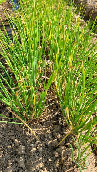 장선영님의 자유주제 · 자유게시판 작성글 사진