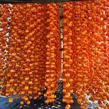 팜모닝 감·자유게시판 게시글 이미지