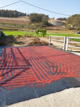 팜모닝 자유주제·자유게시판 게시글 이미지