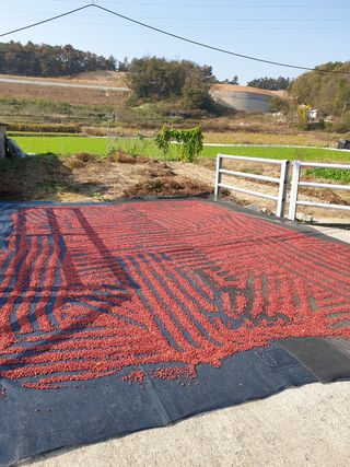 양파5749님의 자유주제 · 자유게시판 작성글 사진