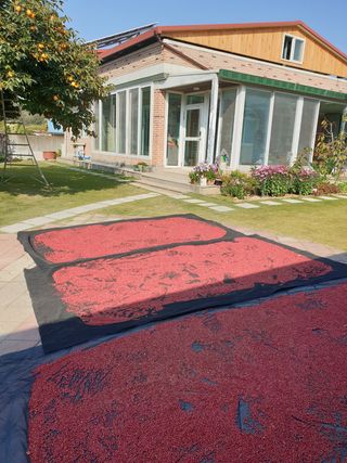 양파5749님의 자유주제 · 자유게시판 작성글 사진