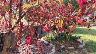 죽풍원님의 [팜춘문예] 짧은 시 쓰기 · 참여글 작성글 사진