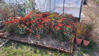 죽풍원님의 [팜춘문예] 짧은 시 쓰기 · 참여글 작성글 사진